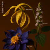 Evoke Alchemē Intimacy Oil