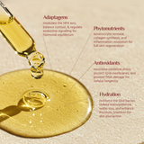 Evoke Alchemē Intimacy Oil