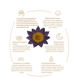 Nymphaea Blue Lotus Tea