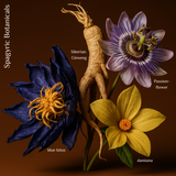 Illustration of Siberian Ginseng, blue lotus, passion flower, and damiana with labels on a brown background.